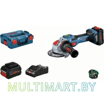 Угловая шлифмашина Bosch GWX 18V-15 SC Professional 06019H6501 (с 2-мя АКБ, кейс)